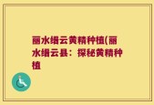 丽水缙云黄精种植(丽水缙云县：探秘黄精种植