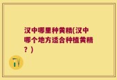 汉中哪里种黄精(汉中哪个地方适合种植黄精？)
