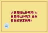 人参黄精杜仲炖鸡(人参黄精杜仲鸡汤 滋补养生的家常美味)