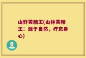 山野黄精王(山林黄精王：源于自然，疗愈身心)