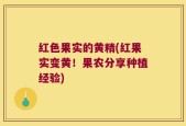 红色果实的黄精(红果实变黄！果农分享种植经验)