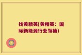 找黄精英(黄精英：国际新能源行业领袖)