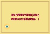 湖北哪里收黄精(湖北哪里可以采摘黄精？)