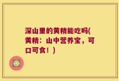 深山里的黄精能吃吗(黄精：山中营养宝，可口可食！)