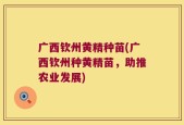 广西钦州黄精种苗(广西钦州种黄精苗，助推农业发展)