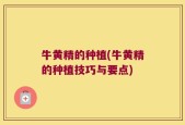 牛黄精的种植(牛黄精的种植技巧与要点)