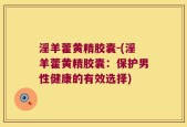 淫羊藿黄精胶囊-(淫羊藿黄精胶囊：保护男性健康的有效选择)