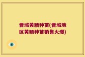 晋城黄精种苗(晋城地区黄精种苗销售火爆)
