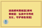 湖南郴州黄精苗(郴州黄精苗：弘扬中华传统文化，守护绿色家园)