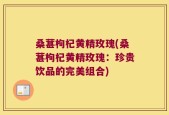 桑葚枸杞黄精玫瑰(桑葚枸杞黄精玫瑰：珍贵饮品的完美组合)