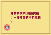 湘黄精横切(湖南黄精：一种神奇的中药植物)