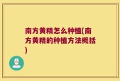 南方黄精怎么种植(南方黄精的种植方法概括)