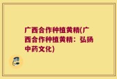广西合作种植黄精(广西合作种植黄精：弘扬中药文化)