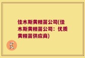 佳木斯黄精苗公司(佳木斯黄精苗公司：优质黄精苗供应商)