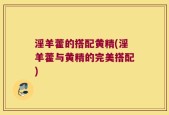 淫羊藿的搭配黄精(淫羊藿与黄精的完美搭配)