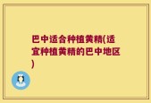 巴中适合种植黄精(适宜种植黄精的巴中地区)
