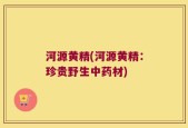 河源黄精(河源黄精：珍贵野生中药材)