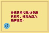 参鹿黄精片图片(参鹿黄精片，提高免疫力，缓解疲劳)