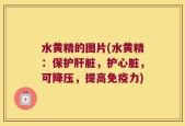 水黄精的图片(水黄精：保护肝脏，护心脏，可降压，提高免疫力)
