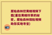 原始森林挖黄精视频下载(重拾黄精珍草的秘密，原始森林探险视频助你实地寻宝)