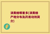 滇黄精哪里多(滇黄精产地分布及药用功效简介)