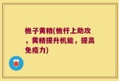 桅子黄精(桅杆上助攻，黄精提升机能，提高免疫力)