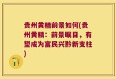 贵州黄精前景如何(贵州黄精：前景瞩目，有望成为富民兴黔新支柱)