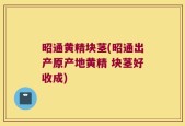 昭通黄精块茎(昭通出产原产地黄精 块茎好收成)