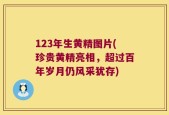 123年生黄精图片(珍贵黄精亮相，超过百年岁月仍风采犹存)