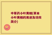 中草药小叶黄精(草本小叶黄精的用途及功效简介)