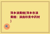萍乡滇黄精(萍乡市滇黄精：滇南珍贵中药材)
