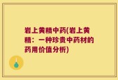 岩上黄精中药(岩上黄精：一种珍贵中药材的药用价值分析)
