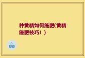 种黄精如何施肥(黄精施肥技巧！)