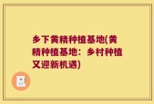 乡下黄精种植基地(黄精种植基地：乡村种植又迎新机遇)