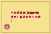 不倒伏黄精(黄精种植技术：有效避免不倒伏)