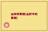 山林种黄精(山野中的黄精)