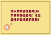 师宗黄精种植基地(师宗黄精种植基地：让您品味到最纯正的黄精！)