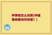 种黄精怎么划算(种植黄精要如何划算？)