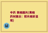 中药 黄精图片(黄精药材展示：照片精彩呈现)