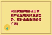 砚山黄精种植(砚山黄精产业呈现良好发展态势，预计未来市场前景广阔)