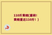 110斤黄精(重磅！黄精重达110斤！)