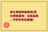 奉化黄精种植基地(奉化黄精基地：全新品质，守护好你的健康)