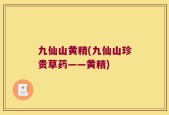 九仙山黄精(九仙山珍贵草药——黄精)