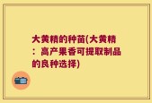 大黄精的种苗(大黄精：高产果香可提取制品的良种选择)