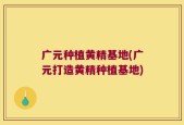 广元种植黄精基地(广元打造黄精种植基地)