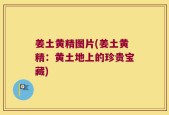 姜土黄精图片(姜土黄精：黄土地上的珍贵宝藏)