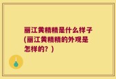 丽江黄精精是什么样子(丽江黄精精的外观是怎样的？)