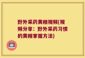 野外采药黄精视频(视频分享：野外采药习惯的黄精掌握方法)