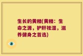 生长的黄精(黄精：生命之源，护肝祛湿，滋养健身之首选)