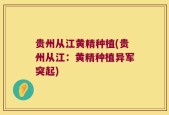 贵州从江黄精种植(贵州从江：黄精种植异军突起)